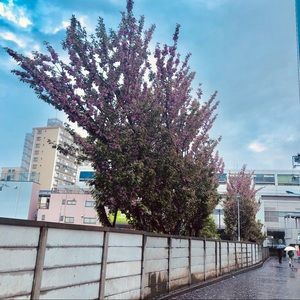 Meet your Posher, Irene